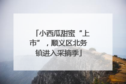 小西瓜甜蜜“上市”，顺义区北务镇进入采摘季